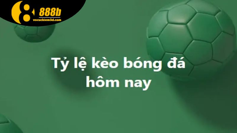 Tỷ lệ kèo 888b mới nhất: Kèo thơm mỗi ngày 3 Các yếu tố ảnh hưởng